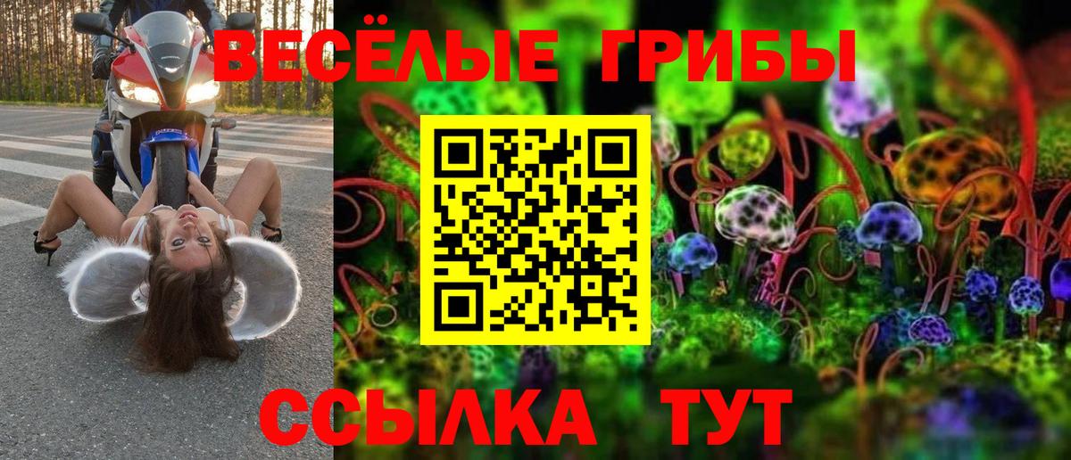 Орёл  Галлюциногенные грибы Psilocybe  Вход с VPN  Псилоцибиновые грибы Cubensis 